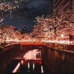 東京の冬の風物詩、目黒川のピンクイルミネーションと、そこから歩いてすぐの安心の宿。